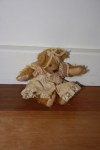 Jeffs-Pictures-734