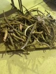 Singleton-Waggon-Sale-5